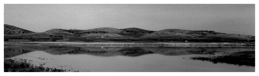 Laguna de Gallocanta 1992